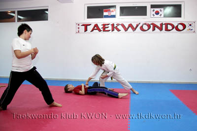 taekwondo kwon training